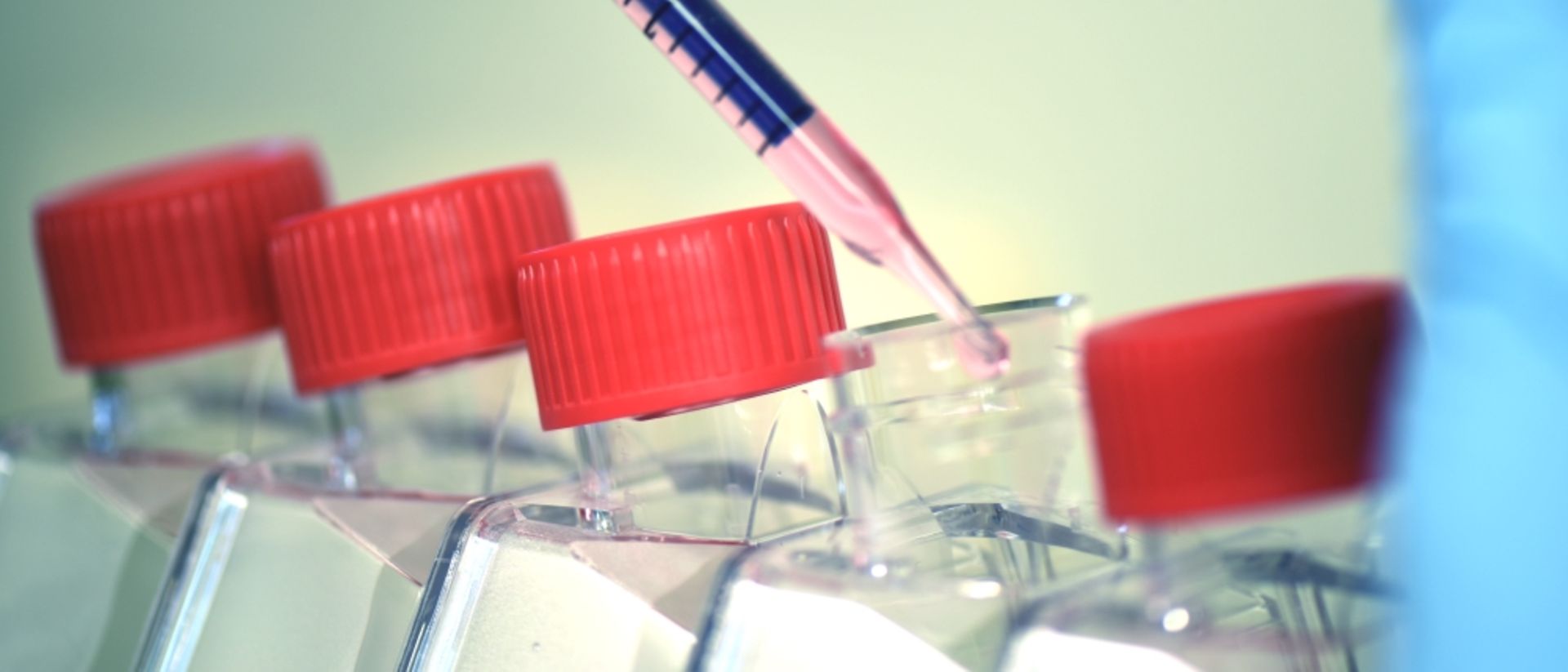 Cell culture media in bottles with pipet.