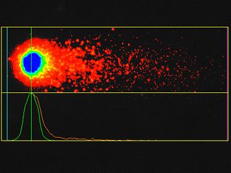 3D Skin COMET assay for the in vitro genotoxicity testing