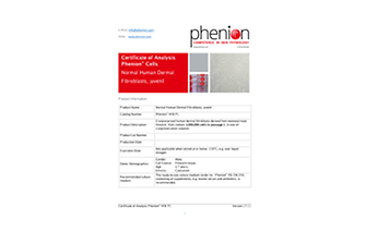 Human primary keratinocytes in culture for Phenion skin model