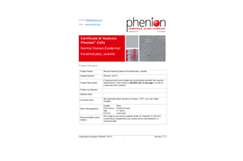 Human primary cell culture for Phenion skin model