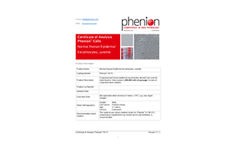 Human primary cell culture for Phenion skin model